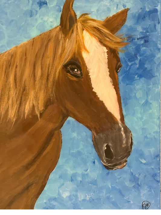Brown Eyed Horse